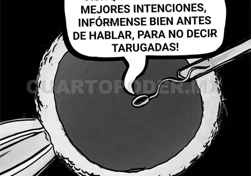 ¿Quién decide qué es una familia? ¿Quién decide qué es una familia?