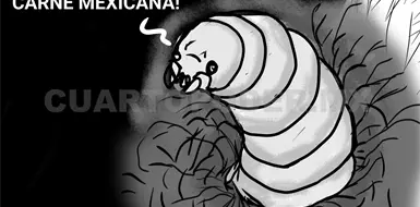 El gusano barrenador: La falsa solución de los filtros El gusano barrenador: La falsa solución de los filtros