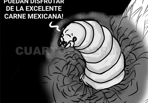 El gusano barrenador: La falsa solución de los filtros