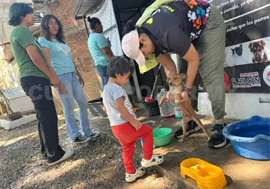 Invitan a Feria de Adopción de Mascotas  este domingo