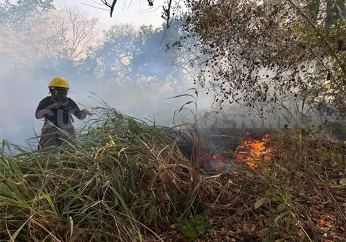 Recientes lluvias, un blindaje natural contra incendios