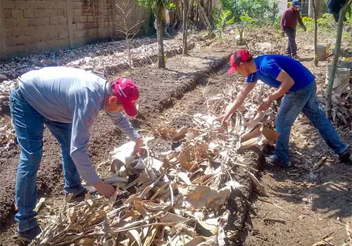 Superan productores crisis de inseguridad en la entidad