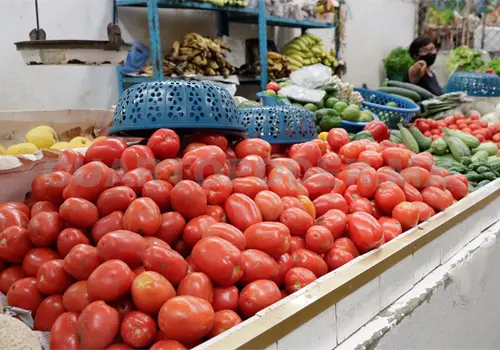 Precio del jitomate está por las nubes