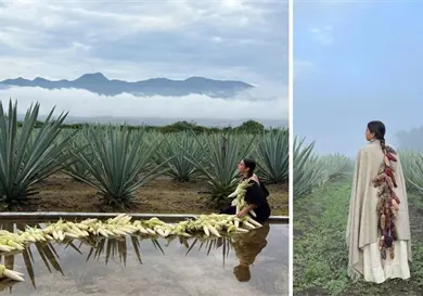 Reflexionan sobre la sustitución del maíz