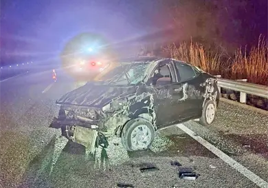 Colisiona contra vaca y provoca percance