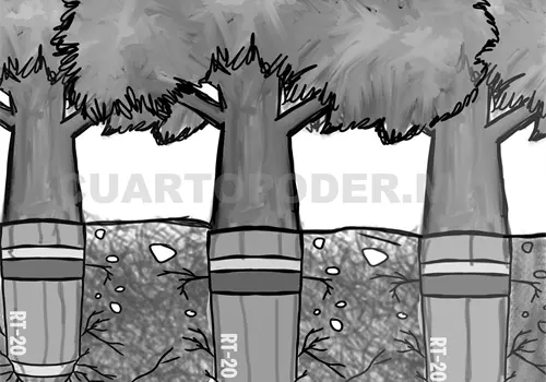 La fuerza de la transformación