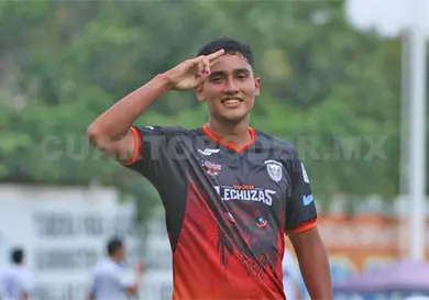 Lechuzas, a elevar el vuelo en Yucatán