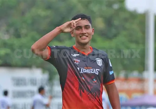 Lechuzas, a elevar el vuelo en Yucatán
