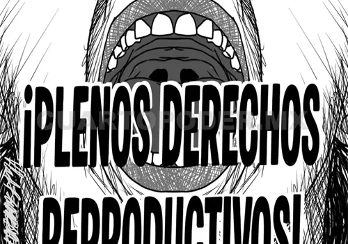 No es suficiente con despenalizar el aborto