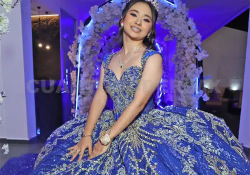 Los dulces quince años de Brissa