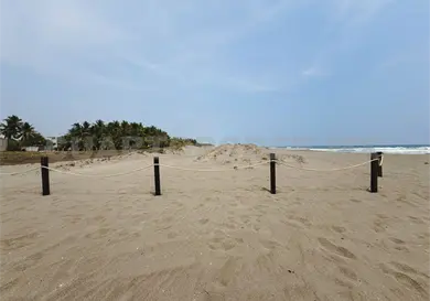 Protegen dunas costeras en Puerto Arista
