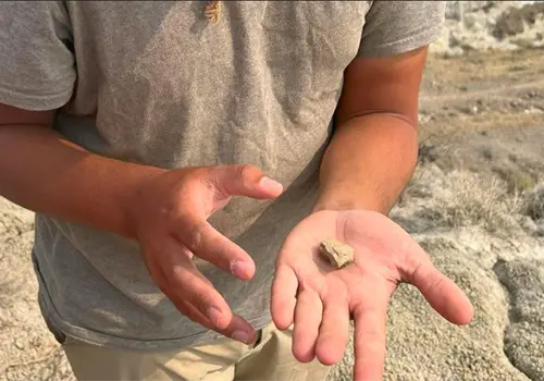 Hallan fósil más pequeño de Sudamérica