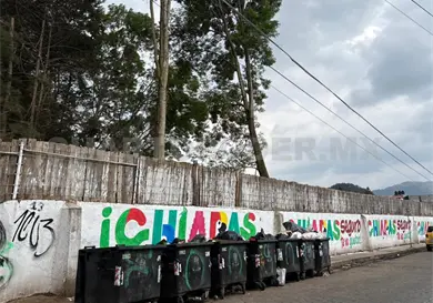 Piden esclarecer deforestación en El Cubito