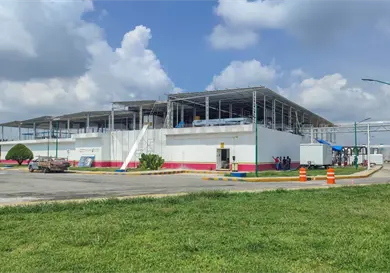 Al 75 % planta de moscas estériles contra GBG