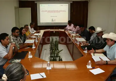 Van ocho millones de dólares para ganadería