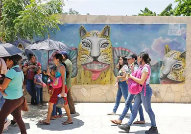 Temperaturas extremas: cinco municipios en 42 °C