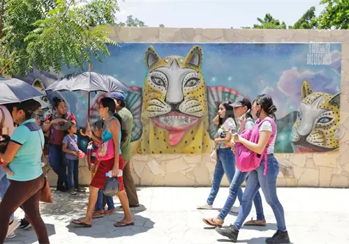Temperaturas extremas: cinco municipios en 42 °C