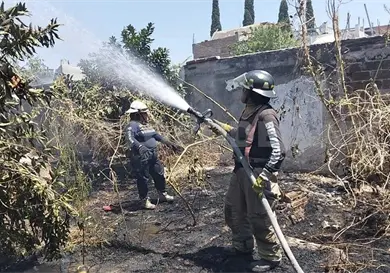 Arden tres lotes baldíos por incendio que fue provocado