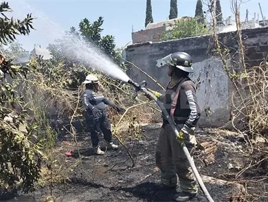 Arden tres lotes baldíos por incendio que fue provocado