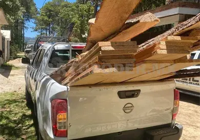 Decomisan madera sacada de montaña de forma ilegal