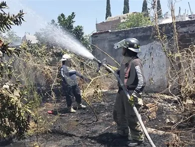 Arden tres lotes baldíos por incendio que fue provocado
