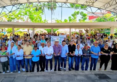 Participan en 4.º Festival del Mango Ataulfo