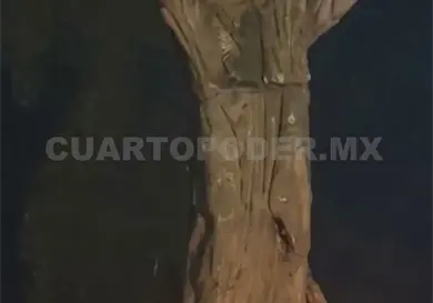 Descubren cueva con imagen religiosa