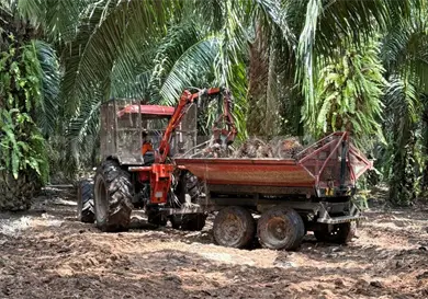 Ofrecen créditos a productores
