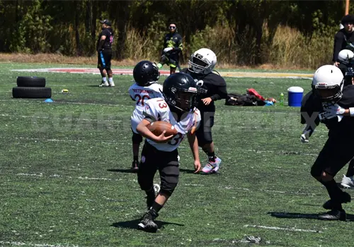 OEFA Chiapas definió a sus finalistas infantiles