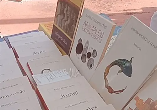 Piden respetar Ley del precio único del libro