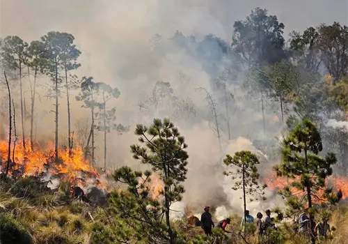 Batalla frontal contra incendios en la entidad