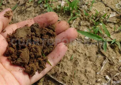 Invertirán 140 mdp para dar agua al campo