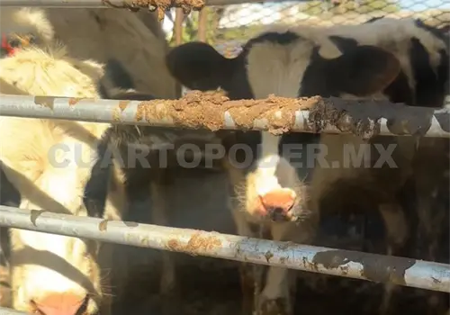 Urgen más rastros en el estado
