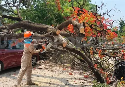 Fuertes ráfagas de viento impactan varias zonas
