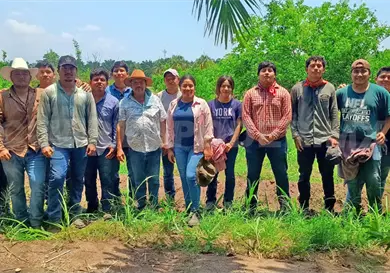 Implementan t&eacute;cnica de cosecha autosustentable