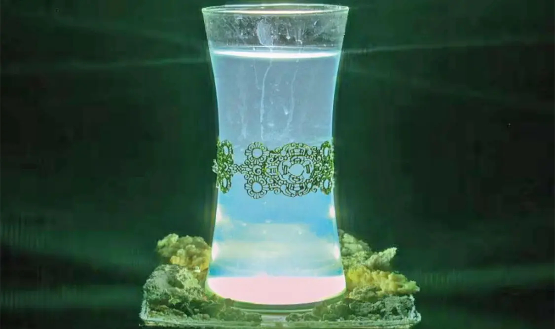 La muestra “BioDiseño Mx. Territorios vivos” permanecerá hasta el 11 de octubre. Cortesía