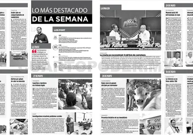 Resumen semanal
