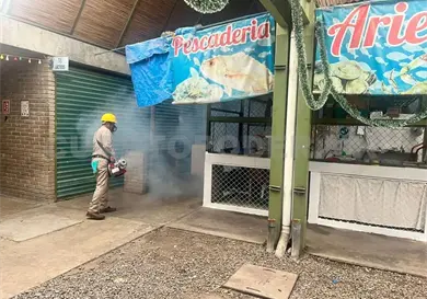 Fumigan mercados contra vectores Fumigan mercados contra vectores