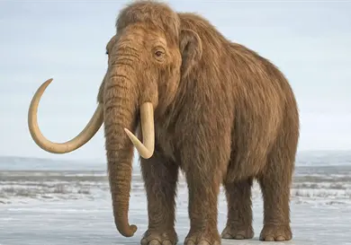 Mamut: el rey de la Edad de Hielo
