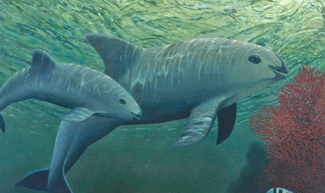El gigante pacífico de los mares tropicales