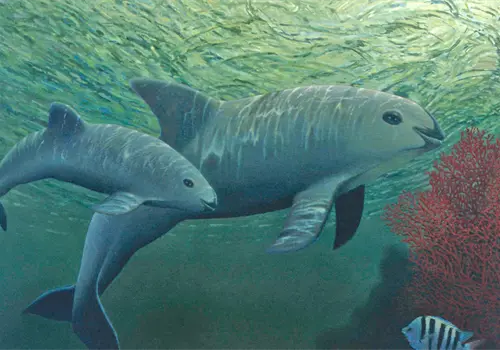 El gigante pacífico de los mares tropicales