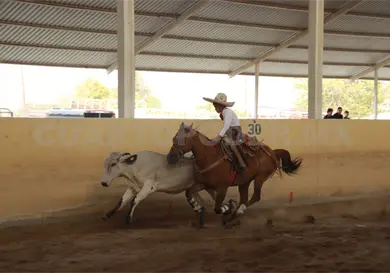 Chiapas domina el Torneo Charro AFA 2026