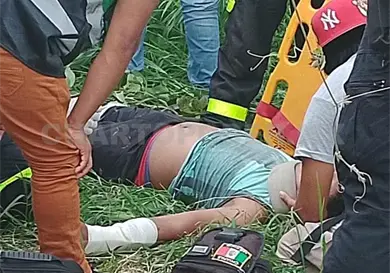Hombre resulta herido tras caer de un árbol