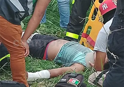 Hombre resulta herido tras caer de un árbol