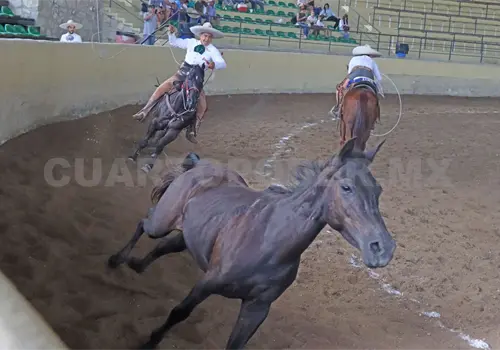 Arena Poblazón alista temporada