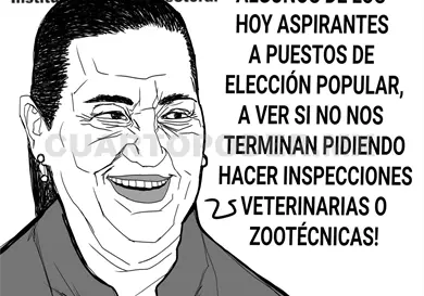 Verificar la integridad de candidaturas
