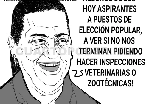 Verificar la integridad de candidaturas