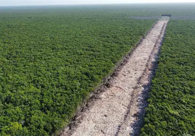 Acusa PAN reversa en agenda medioambiental