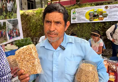 Impulsan producción sustentable de maíz
