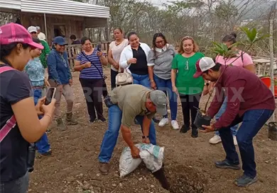 Urge reforestación en áreas de la zona Metropolitana